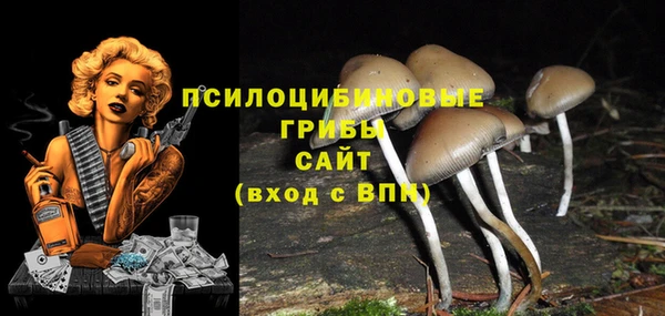 MDMA Premium VHQ Вяземский