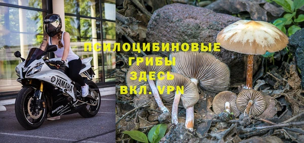 MDMA Premium VHQ Вяземский